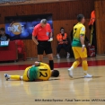 Lion Car MIBA Banská Bystrica - Futsal team Levice 1:7 (1:1)