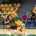 Futsal team Levice - ŠK Makroteam Žilina 2:8 (0:1)