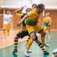 Futsal team Levice - ŠK Makroteam Žilina 2:8 (0:1)