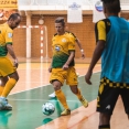 Futsal team Levice - ŠK Makroteam Žilina 2:8 (0:1)